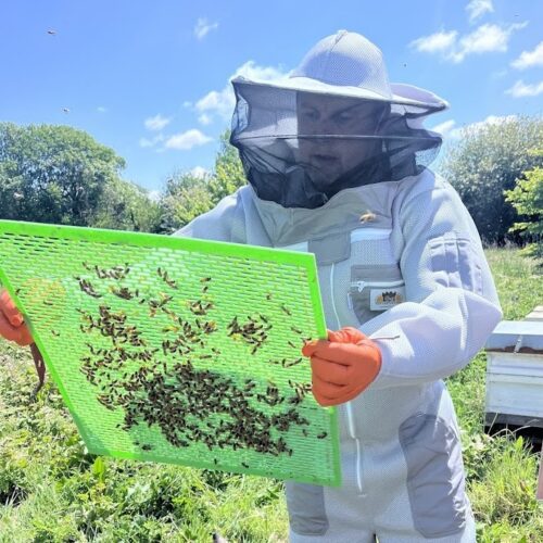 Private Beekeeping Experience