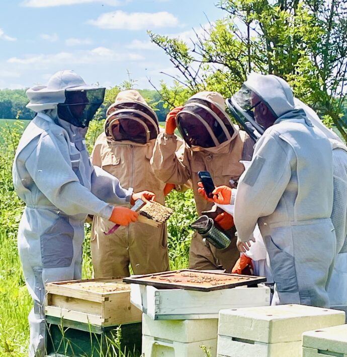 Beekeeping Experience Day Kent | Bramble Farm Bees