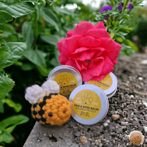 Soothing pet balm with beeswax and propolis for dogs